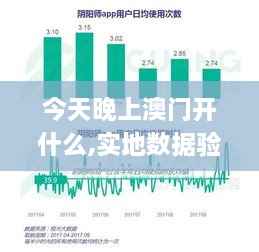 今天晚上澳门开什么,实地数据验证实施_SJE9.63.54星耀版