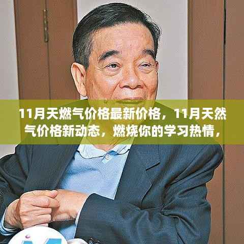 11月天然气价格动态,学习热情燃烧,开启能源新纪元自信之路
