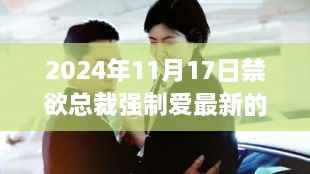 2024年11月17日禁欲总裁强制爱最新的，禁欲总裁的自然寻迹之旅，一场心灵与自然的奇妙邂逅