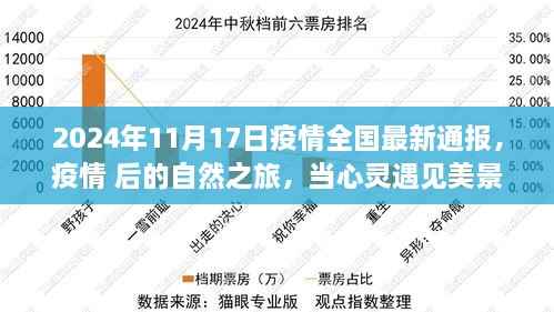 疫情后的自然之旅,心灵遇见美景的最新通报(2024年11月17日)