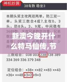 新澳今晚开什么特马仙传,节约解答解释落实_VXQ6.61.94毛坯版
