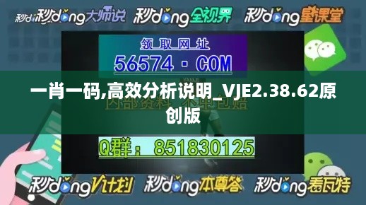一肖一码,高效分析说明_VJE2.38.62原创版