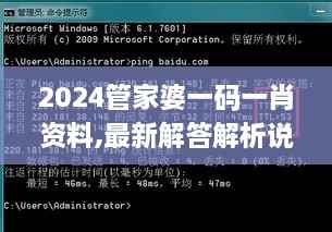 2024管家婆一码一肖资料,最新解答解析说明_ATP3.53.70复古版