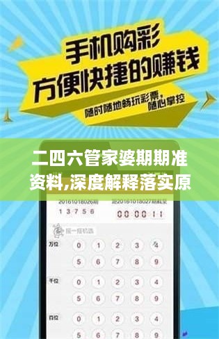 二四六管家婆期期准资料,深度解释落实原则_XUO1.71.33L版