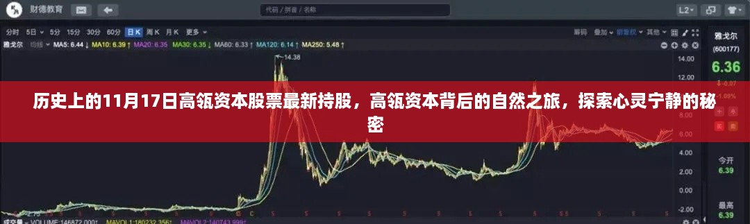 高瓴资本股票最新动态,历史持股回顾与心灵宁静背后的自然之旅探索