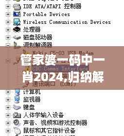 管家婆一码中一肖2024,归纳解析解答解释现象_REM3.54.57强劲版
