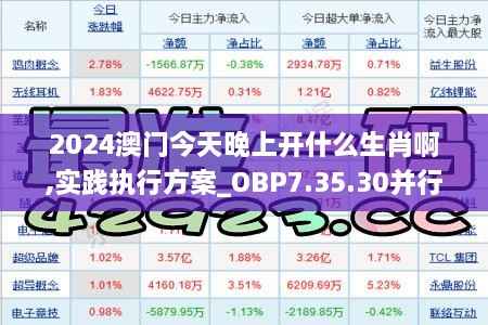 2024澳门今天晚上开什么生肖啊,实践执行方案_OBP7.35.30并行版
