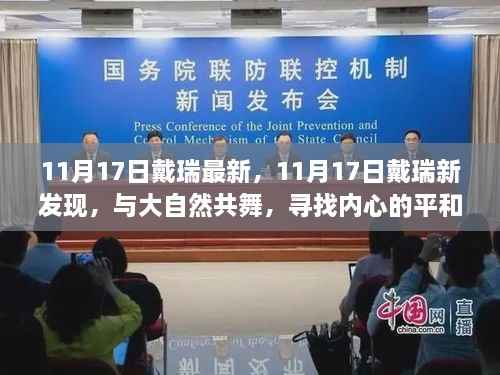 戴瑞最新发现,与大自然共舞,寻找内心的平和乐土(11月17日更新)