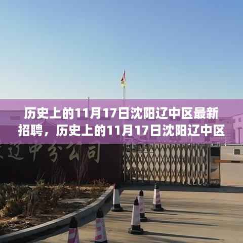 历史上的11月17日沈阳辽中区最新招聘深度分析与观点阐述，最新招聘信息一网打尽！