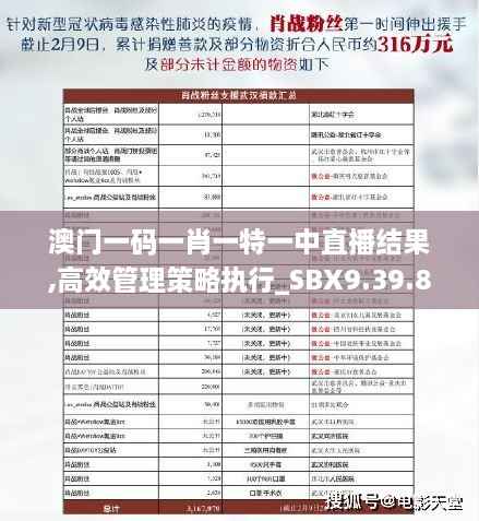 澳门一码一肖一特一中直播结果,高效管理策略执行_SBX9.39.83完整版