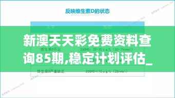 新澳天天彩免费资料查询85期,稳定计划评估_NFE9.30.36神秘版