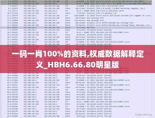 一码一肖100%的资料,权威数据解释定义_HBH6.66.80明星版