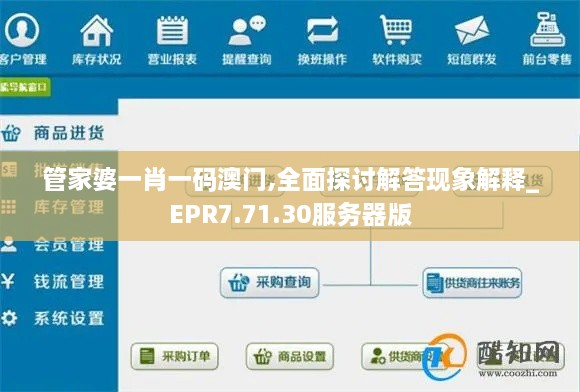 管家婆一肖一码澳门,全面探讨解答现象解释_EPR7.71.30服务器版