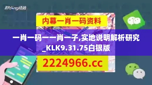 一肖一码一一肖一子,实地说明解析研究_KLK9.31.75白银版