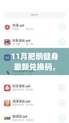 揭秘十一月肥鹅健身最新兑换码风云，历程、影响与时代地位