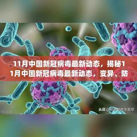 11月中国新冠病毒最新动态,揭秘11月中国新冠病毒最新动态,变异、防控与疫苗进展