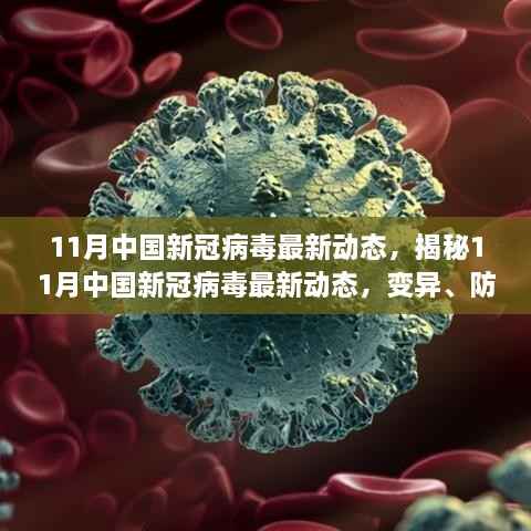 11月中国新冠病毒最新动态,揭秘11月中国新冠病毒最新动态,变异、防控与疫苗进展