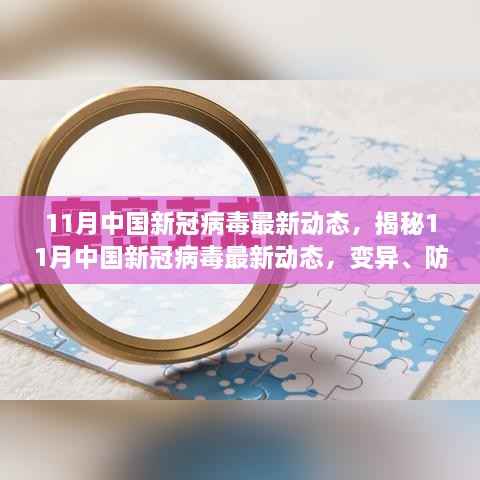 11月中国新冠病毒最新动态,揭秘11月中国新冠病毒最新动态,变异、防控与疫苗进展