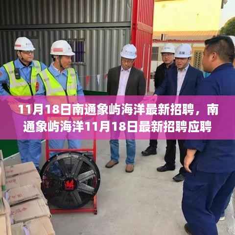 南通象屿海洋最新招聘应聘全程指南,从入门到精通(11月18日)