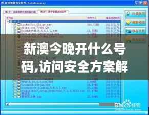 新澳今晚开什么号码,访问安全方案解析_PRS7.59.36荣耀版