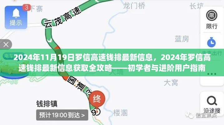 罗信高速钱排最新信息获取全攻略，初学者与进阶用户指南（2024年）