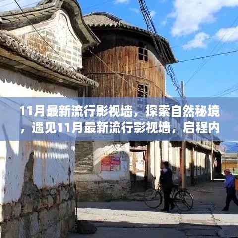 探索自然秘境，启程宁静之旅，11月最新流行影视墙赏析