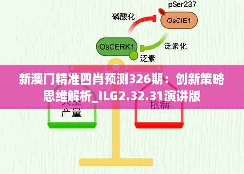 新澳门精准四肖预测326期:创新策略思维解析_ILG2.32.31演讲版