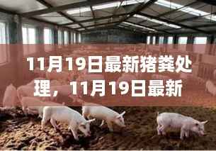 最新猪粪处理技术,环保高效的解决方案