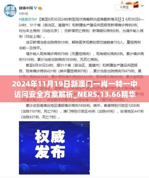 2024年11月19日新澳门一肖一特一中访问安全方案解析_NER5.13.66精华版
