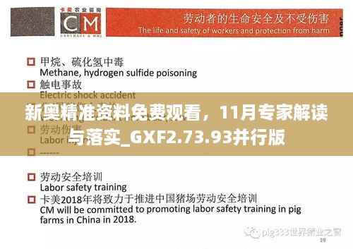 新奥精准资料免费观看,11月专家解读与落实_GXF2.73.93并行版