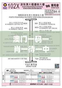 澳门一码一肖一待一中今晚:11月19日历史理论分析与解读路径_ETL5.78.71原创版本