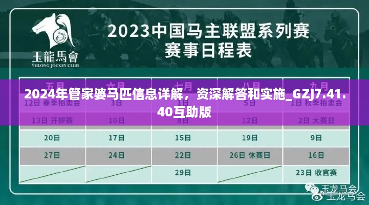 2024年管家婆马匹信息详解,资深解答和实施_GZJ7.41.40互助版