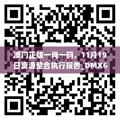 澳门正版一肖一码,11月19日资源整合执行报告_DMX6.18.51网络版