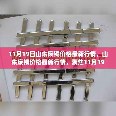 11月19日山东废锡价格行情分析,最新市场动态与行业焦点
