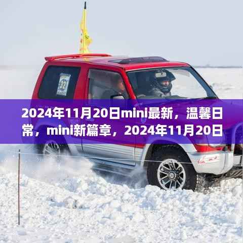 2024年11月20日快乐时光,MINI新篇章的温馨日常