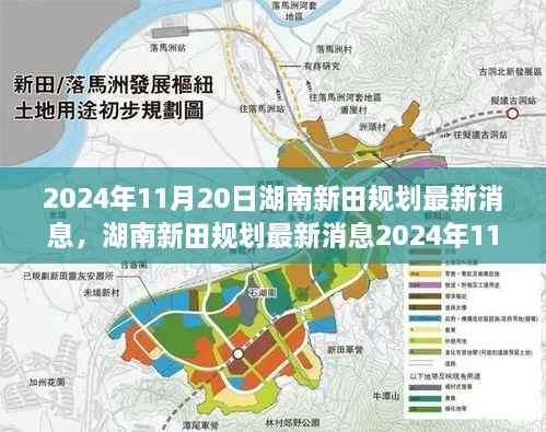 湖南新田规划动态,最新消息关注指南(2024年11月20日)