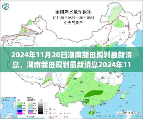 湖南新田规划动态,最新消息关注指南(2024年11月20日)