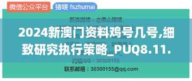2024新澳门资料鸡号几号,细致研究执行策略_PUQ8.11.83娱乐版