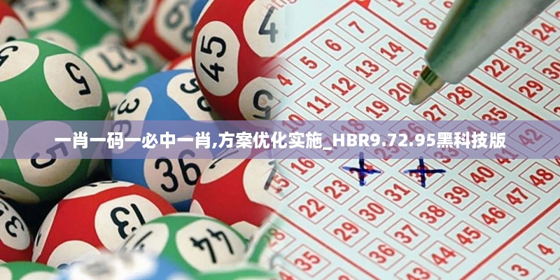 一肖一码一必中一肖,方案优化实施_HBR9.72.95黑科技版