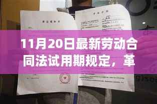 最新劳动合同法试用期规定革新启航，科技引领职场新纪元