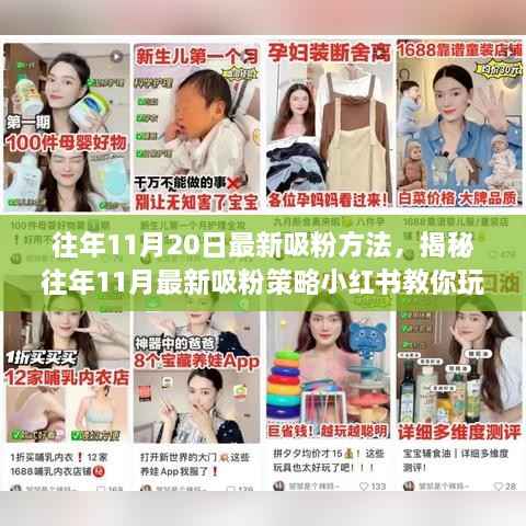 揭秘往年11月最新吸粉策略，小红书教你玩转粉丝增长秘籍，轻松吸引粉丝关注！