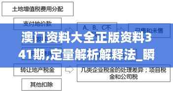 澳门资料大全正版资料341期,定量解析解释法_瞬间版PLV3.28