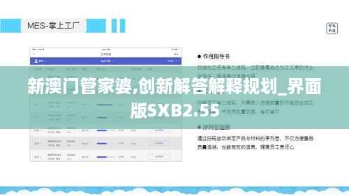新澳门管家婆,创新解答解释规划_界面版SXB2.55