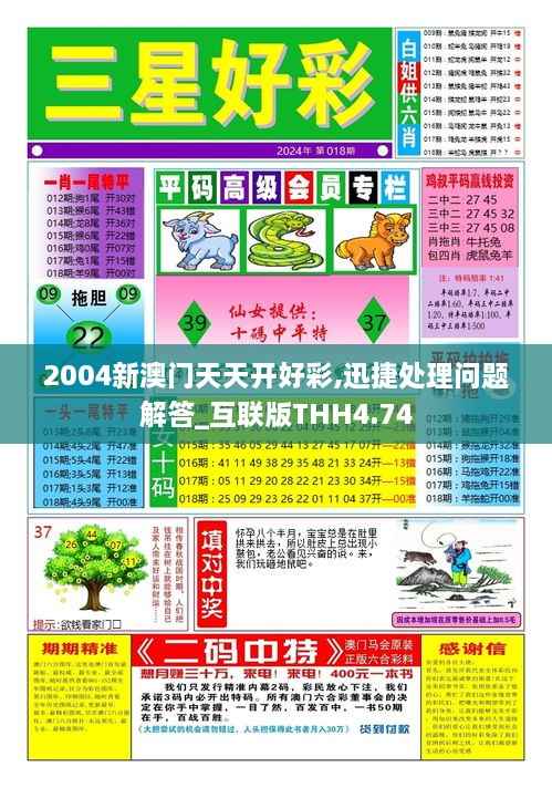 2004新澳门天天开好彩,迅捷处理问题解答_互联版THH4.74