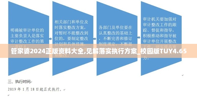 管家婆2024正版资料大全,见解落实执行方案_校园版TUY4.65