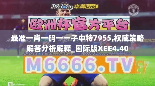 最准一肖一码一一子中特7955,权威策略解答分析解释_国际版XEE4.40