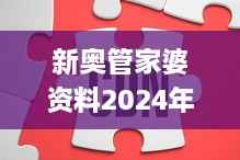 新奥管家婆资料2024年85期,详细解读解释定义_投入版RWU1.42