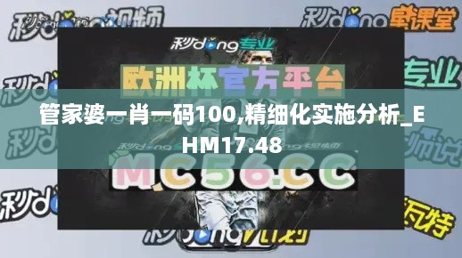 管家婆一肖一码100,精细化实施分析_EHM17.48