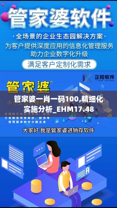 管家婆一肖一码100,精细化实施分析_EHM17.48