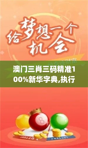 澳门三肖三码精准100%新华字典,执行验证计划_TFJ17.66